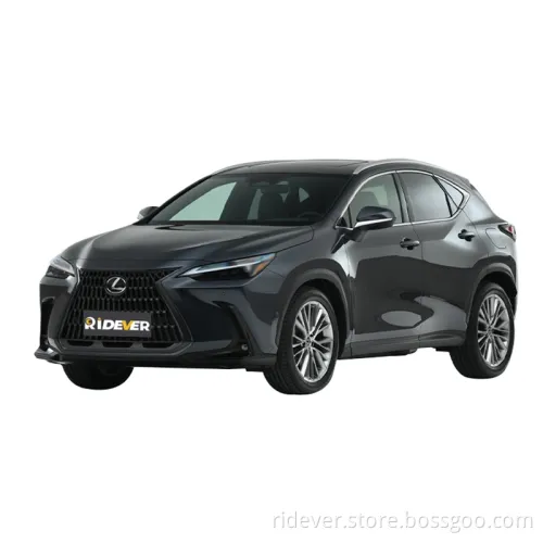 Ridever Electric New Cars for Sale Electric Car Lex Us Nx New Energy